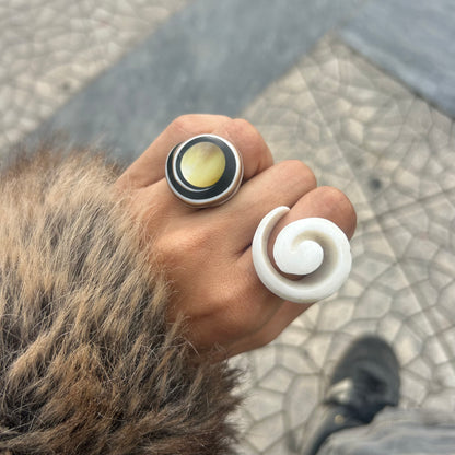 Shelly Ring 1