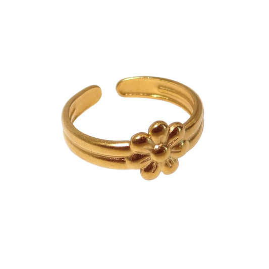 Ari Ring