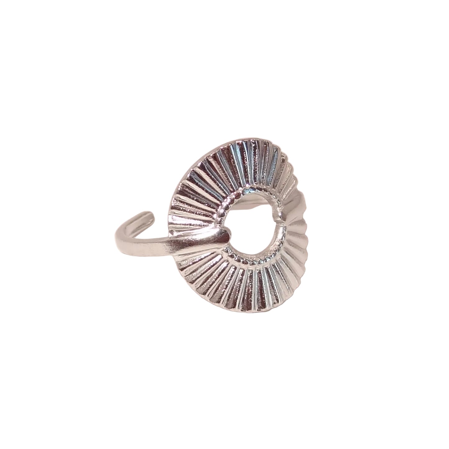 Dani Ring SILVER